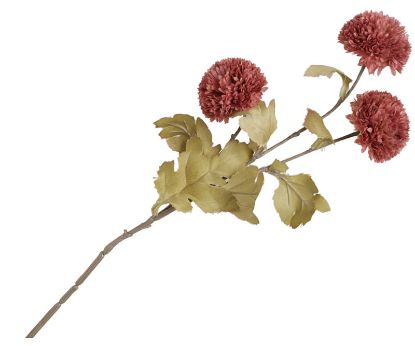 Krysantemum stilkblomst 74 cm blush