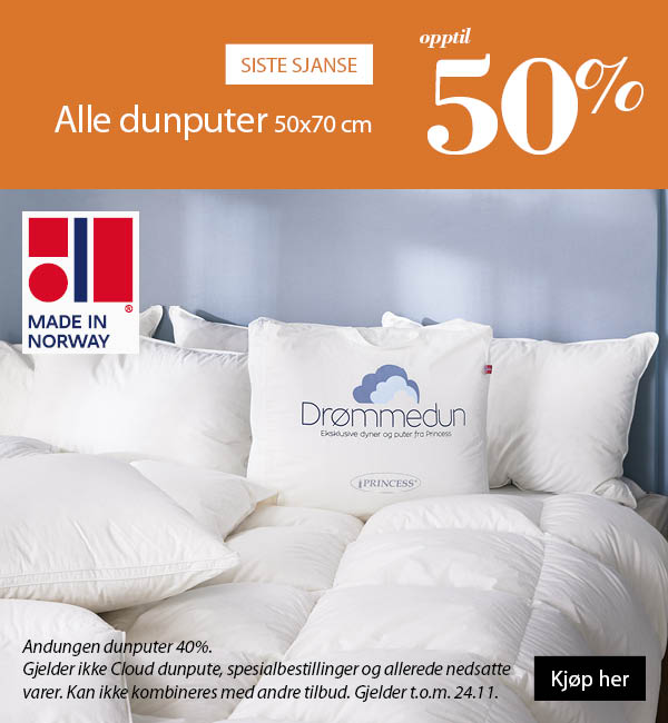 Dunputer 50%